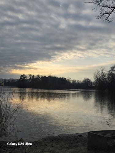 Um den Auwaldsee