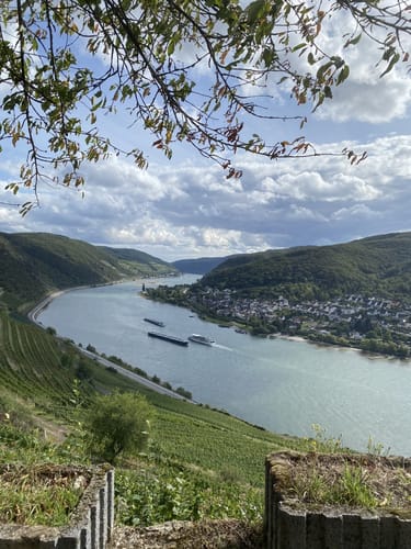 Rheinsteig Etappe 17: Lorch - Rüdesheim