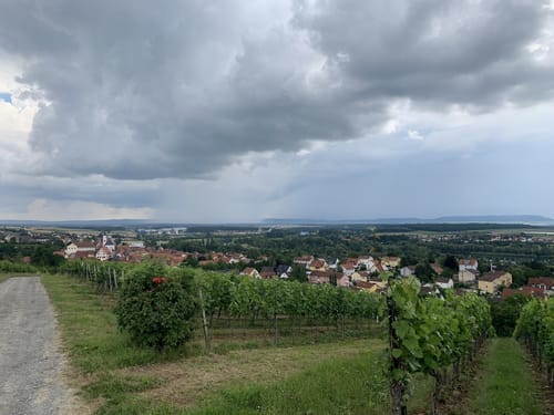 TraumRunde Dettelbach