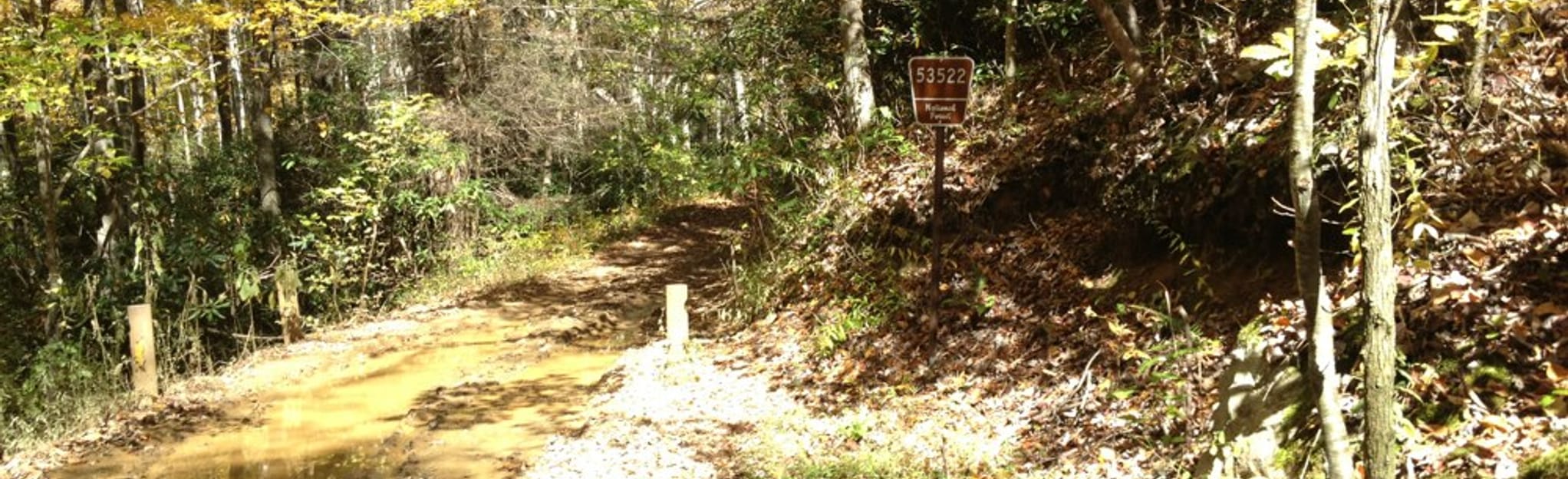 Green Mile Trail, Tennessee 58 Reviews, Map AllTrails