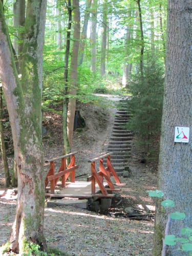 SchächerbachTour (Premiumwanderweg)