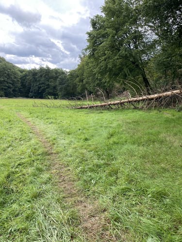 Kräuterweg Neunkirchen-Seelscheid