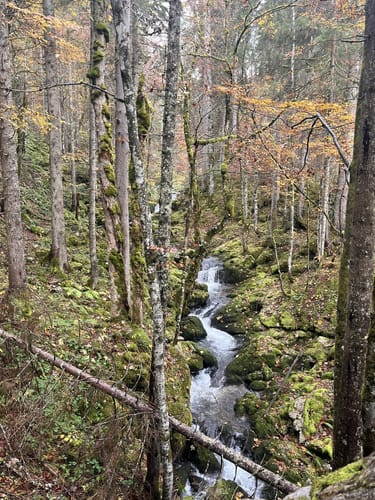 Von der Weißach zur Tegernseer Hütte