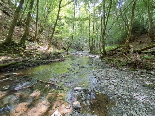 Erlebnisweg Im Tal der Wilden Endert
