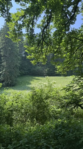 Hayingen - Wimsener Höhle - Schloss Ehrenfels