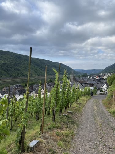 Von Sankt Aldegund zur Josefshöhe