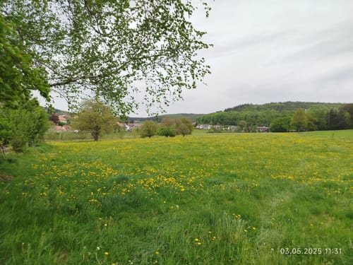 Rundwanderweg Grasellenbach 8: Erlebniswanderweg Fürth-Grasellenbach