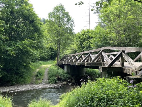 Lieserpfad Etappe 2: Daun - Manderscheid