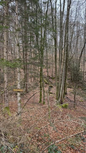 Erlebnispfad zum Humbergturm