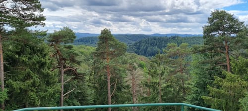 Lemberger Flößertour (Premiumwanderweg)