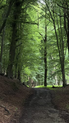 Holperdorper (Teutoschleife)