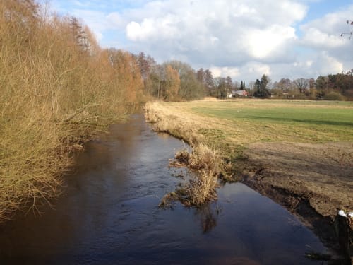 Entlang der Aller bei Celle