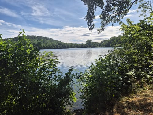 Rund um den Vienenburger See