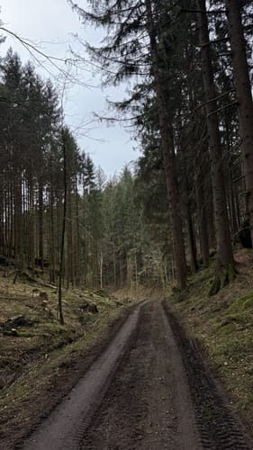 Erlebnispfad zum Humbergturm