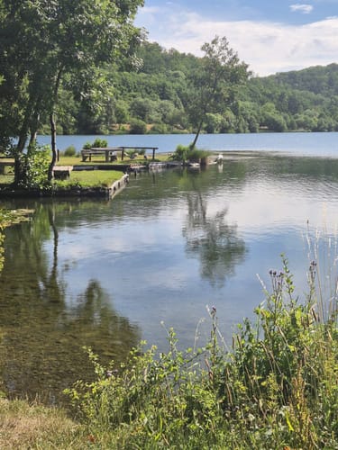Rund um den Vienenburger See