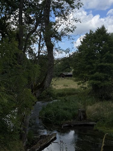 Leutstetten - Gauting