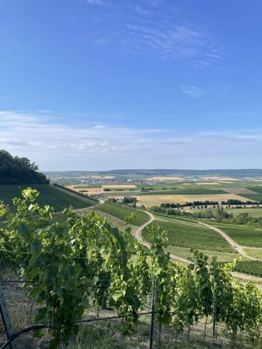 Von der Waldschenke Hörnle um die Burg Neipperg