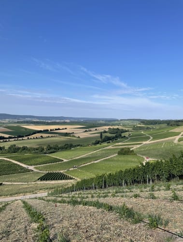 Von der Waldschenke Hörnle um die Burg Neipperg