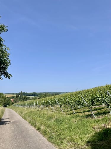 Katzenbach Stausee - Weißer Steinbruch - Burgruine Blankenburg