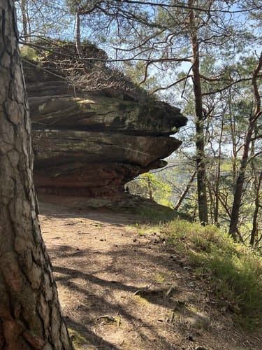 Spirkelbacher Höllenbergtour (Premiumwanderweg)