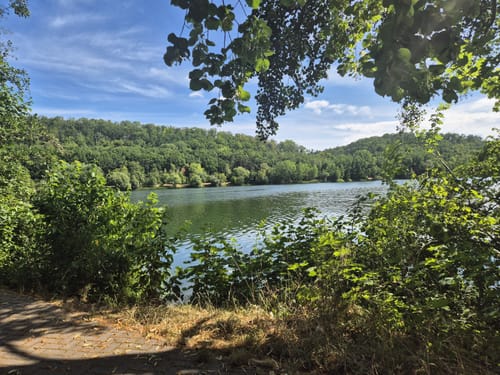 Rund um den Vienenburger See