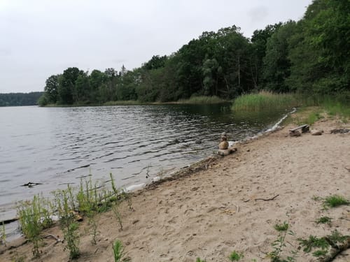 Von Carwitz um den Dreetzsee