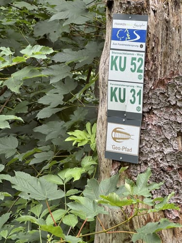 Steinachklamm-Weg KU 52