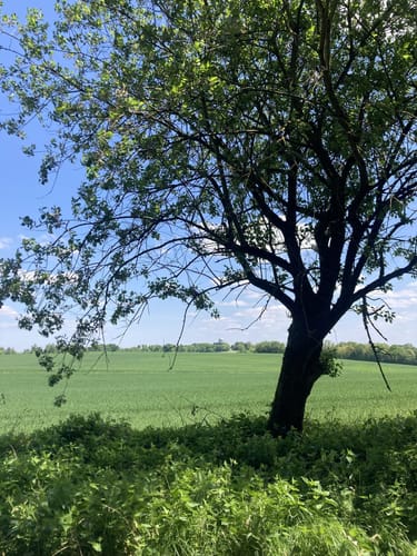 Freising - Erlau - Pettenbrunn