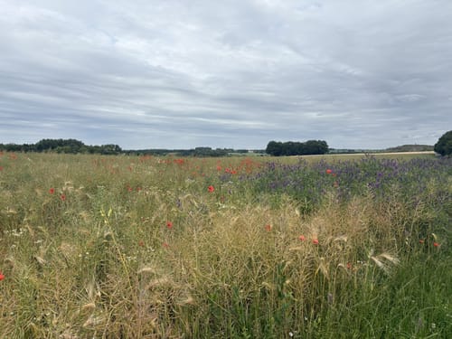 Rund um die Düssel in Gruiten ab Osterholz