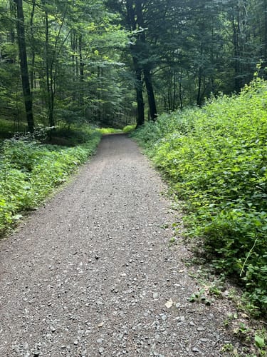 Von Dansenberg über den Bergbrunner Kopf