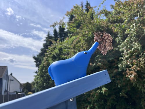 Leichlingen: Bergischer Obstweg