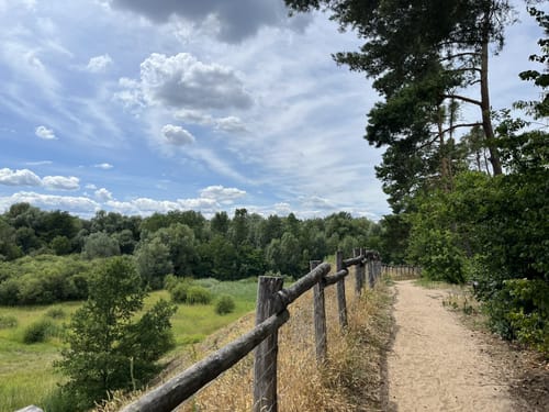 Zugmantel-Bandholz Rundweg