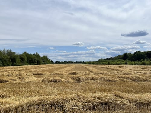 Zugmantel-Bandholz Rundweg