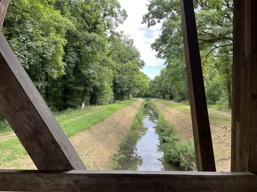 Zugmantel-Bandholz Rundweg