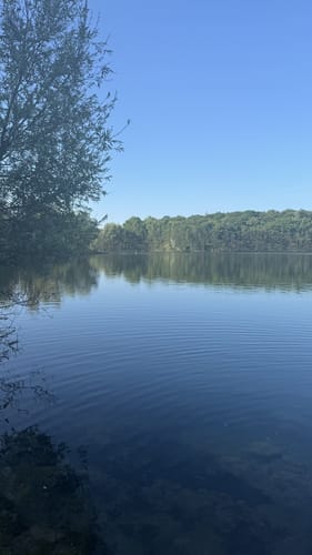 Halde Rheinpreußen - Waldsee - Lohheidesee