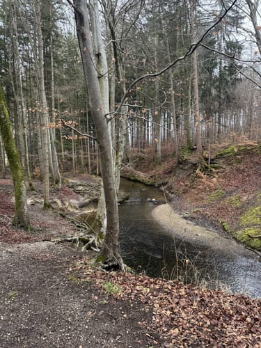 Mammutmarsch München 2022 - 55km