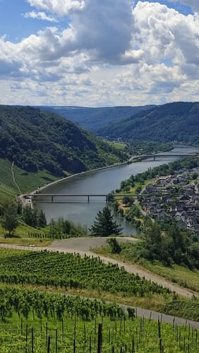 Panorama-Rundweg und Schiefer-Pfad Kröv