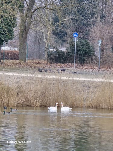 Um den Auwaldsee