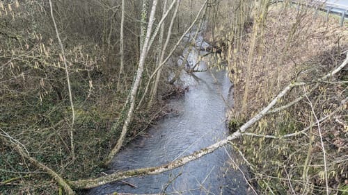 Lahnwanderweg Etappe 12: Braunfels - Weilburg
