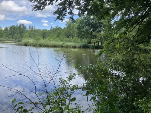 5-Seen-Wanderung um das Rotmoos