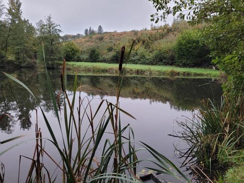 MTB Tour: Morenhoven - Rheinbach