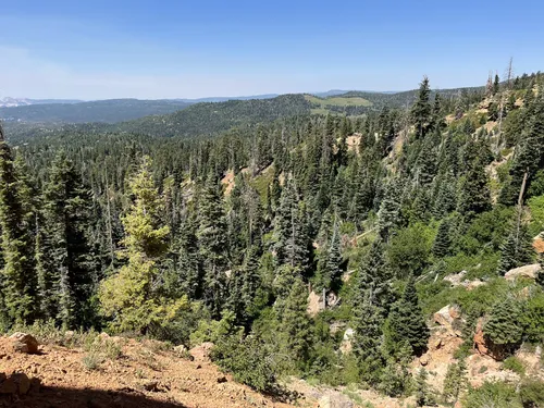 Cascade Falls, Utah - 1,046 Reviews, Map | AllTrails