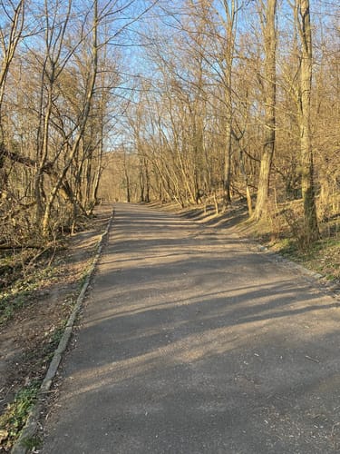Volkspark Prenzlauer Berg Großer Weg