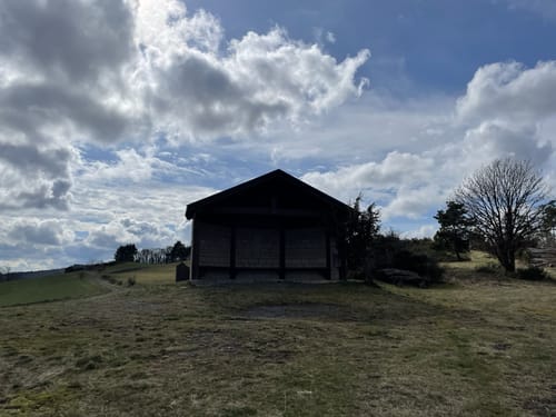 Heidehimmel Volkesfeld (Traumpfad)