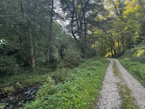Gernsbacher Runde kurz