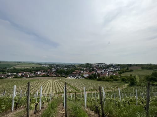 Panoramaweg Gau-Bischofsheim
