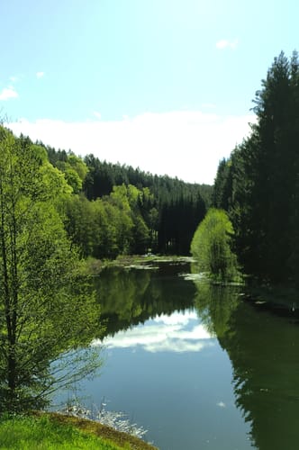 Rundwanderung Talsperre Lichtenberg