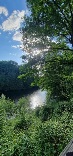Oberwaldsee und Vogelsberger See