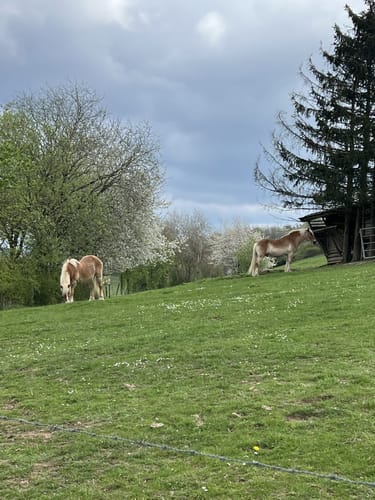 Auf den Spuren der Grünen Hölle