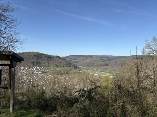 Neckarsteig Etappe 5: Eberbach - Neunkirchen